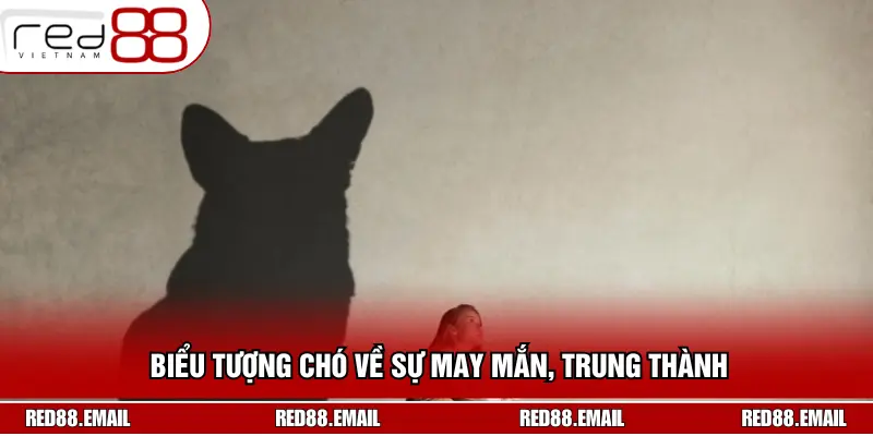 Biểu tượng chó về sự may mắn, trung thành