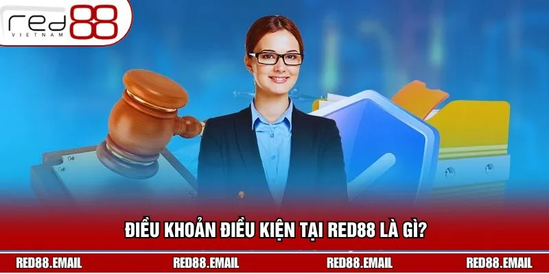 Điều khoản điều kiện giúp hội viên nắm rõ quy định tham gia 