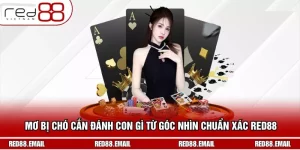 Mơ Bị Chó Cắn Đánh Con Gì Từ Góc Nhìn Chuẩn Xác RED88