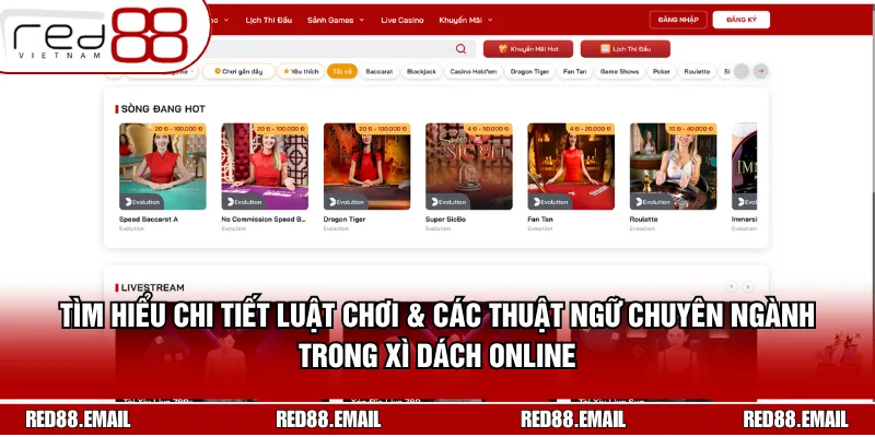 Tìm hiểu chi tiết luật chơi & các thuật ngữ chuyên ngành trong xì dách online